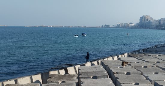 الطقس اليوم الخميس 9 يناير 2025 بالإسكندرية.. برودة فى أول أيام طوبة