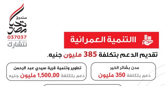 صندوق تحيا مصر يعلن حصاد الخير لعام 2024.. إنفوجراف