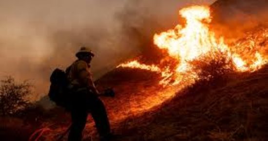 كوريا الجنوبية: إخماد حريق للغابات بمقاطعة "جانجوون" بعد أكثر من 18 ساعة