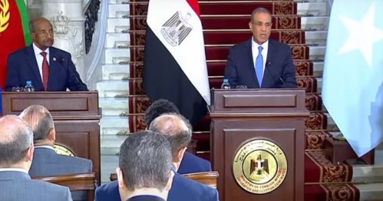 إنشاء آلية وزارية لاجتماع دورى لتعزيز العلاقات بين مصر والصومال وإريتريا