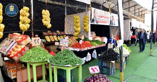 أسواق اليوم الواحد تستقبل المواطنين اليوم بمدينة نصر وحلوان بالقاهرة