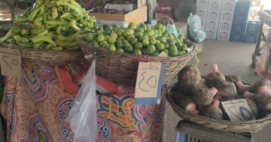 محافظة الجيزة تفتتح منفذا لبيع الخضراوات والفواكه للمواطنين بسعر الجملة