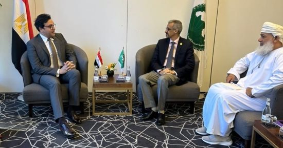 أحمد هنو يلتقى مدير منظمة "ألكسو" خلال مؤتمر وزراء الثقافة العرب