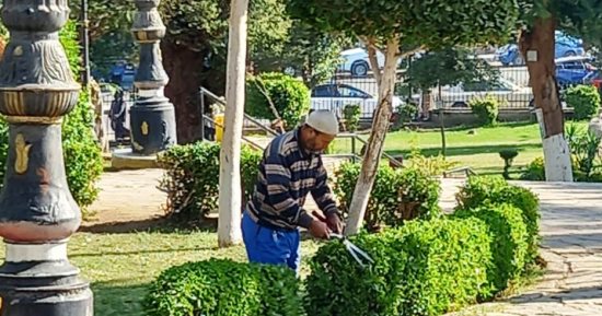 استمرار أعمال النظافة العامة وزراعة الأشجار بأسوان.. صور