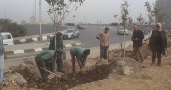 بدء تشجير الطريق الدائرى فى الجيزة ضمن مبادرة 100 مليون شجرة.. صور