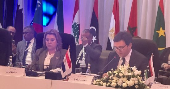 وزير الثقافة: التحول الرقمى للمحتوى الثقافى العربى رهان المستقبل