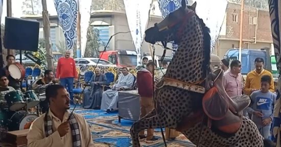أبو فارس يبدع فى ترويض الخيول بالشرقية ويتعامل معها بالإشارة.. صور