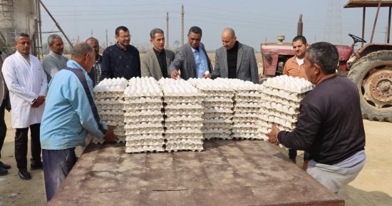 السكرتير العام المساعد لبنى سويف يتفقد مشروعات الدواجن المركزية شرق النيل