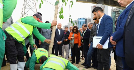 تفاصيل تنفيذ المرحلة الأولى لزراعة وتشجير الطريق الدائرى