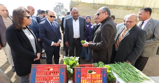 محافظ كفر الشيخ ووزير الزراعة النيجيرى يتفقدان برنامج إنتاج تقاوى الخضر