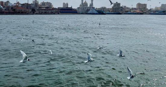 مصر حلوة فى عيون ولادها.. "نوران" تسجل جمال شوارع بورسعيد بكاميراتها