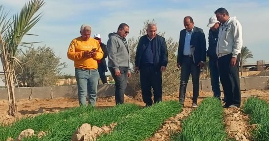 نقيب الزراعيين: إجراء تجارب لزراعة «التين الأملس» فى سيناء لخدمة السياحة البيئية