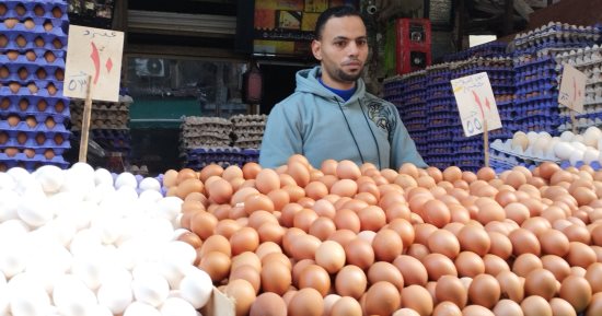 أسعار كرتونة البيض اليوم الخميس 23-1-2025 فى الإسكندرية