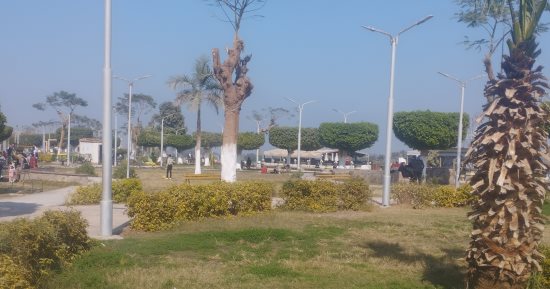 الجو جميل والشمس منورة.. أجواء شتوية رائعة فى المنيا.. بث مباشر