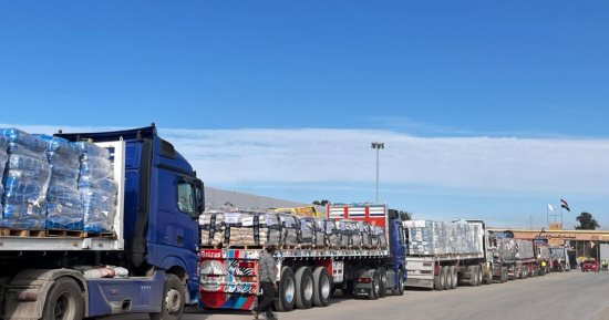 خبير: قوافل المساعدات إلى غزة تؤكد ثبات الرؤية المصرية ودورها المحورى