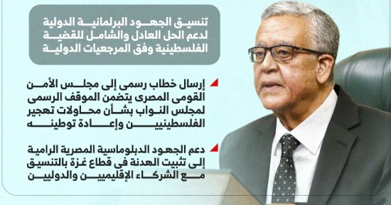 مجلس النواب يؤكد دعمه الكامل لجهود الرئيس السيسى فى حماية الأمن القومى (إنفوجراف)