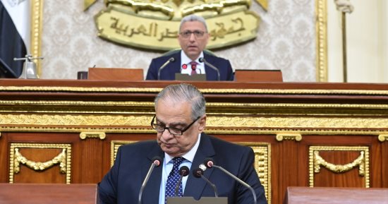 مجلس النواب يوافق على المادة المنظمة لمدة الحبس الاحتياطى بقانون الإجراءات الجنائية