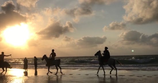 اكتشف سحر شمال سيناء بداية من شواطئها الخلابة إلى محمياتها الطبيعية وأسرار تاريخها العريق.. ساحل هادئ على حواف المتوسط ومحميات طبيعية تستقبل الطيور المهاجرة.. واحات من الجمال فى قلب الجبال وبين التلال.. صور