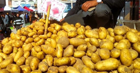 سعر الخضراوات والفواكه اليوم الأحد بالمنوفية.. البطاطس من 7 لـ 10 جنيهات
