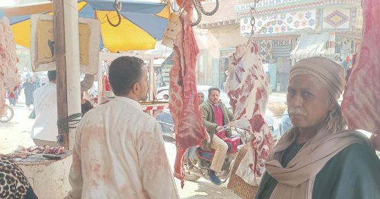 اللحمة بـ 300 جنيه بمبادرة محاربة الغلاء بالمنوفية.. بث مباشر