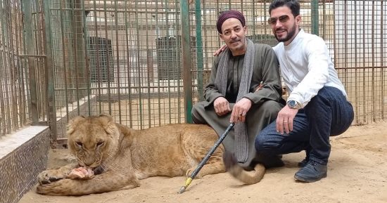 حكاية الأسد "عدى" وزوجته "نانسى" وأول لقاء بـ ابنه الشبل مع "فتحى شو"