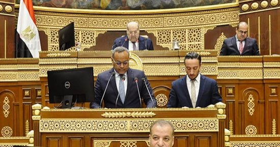 ضوابط تشكيل القائمة بانتخابات مجلس الشيوخ.. اعرف التفاصيل