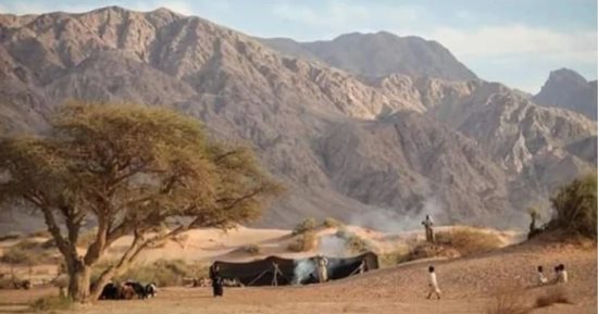"أبو غصون" تاريخ طبيعي ومعدنى وجيولوجي في قلب البحر الأحمر