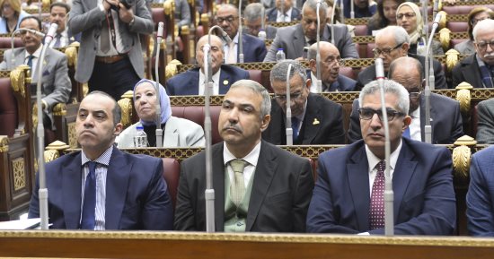 مطالب برلمانية بفصل البحث العلمى عن التعليم العالى