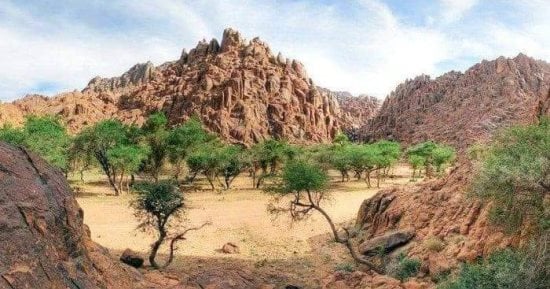 مرسى علم مملكة الطبيعة بالبحر الأحمر