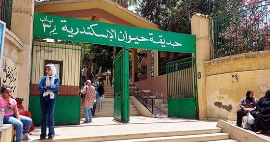 فسحة شتوية وسط الطبيعة.. حدائق الإسكندرية مقصد الزائرين فى إجازة نصف العام