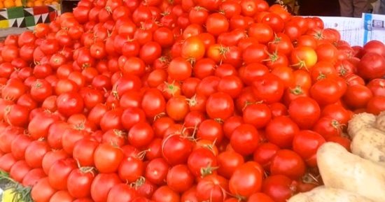 بكام الطماطم النهارده؟..سعر الطماطم الأحد 2 -11-2025 فى المنوفية