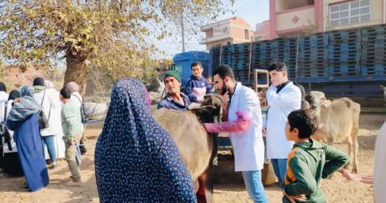جامعة المنوفية تنظم قافلة طبية بيطرية بقرية كفر أبو الحسن بقويسنا