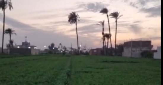 صقيع وانخفاض فى درجات الحرارة.. حالة الطقس الآن فى سوهاج.. فيديو