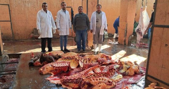 ضبط 600 كيلو لحوم مصابة بمرض السل فى حملة بسوهاج