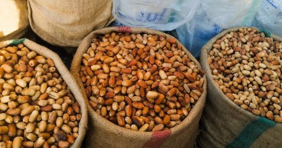 أسعار البلح السيوى اليوم بأسواق مطروح.. الناشف يتراوح بين 25 و40 جنيهاً  