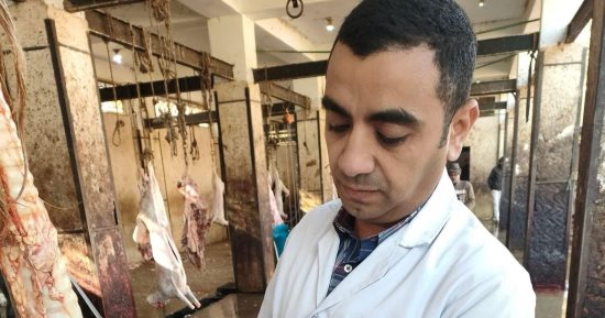 إعدام 960 كيلو لحوم مصابة بمرض السل فى سوهاج