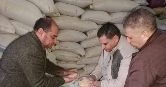 محافظة الجيزة تضبط 2796 مخالفة تموينية خلال شهر يناير