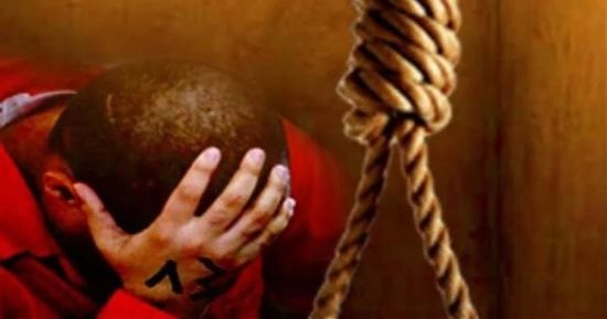 جنايات المنصورة تحيل أوراق عاطل إلى مفتي الجمهورية لقتله شقيقه