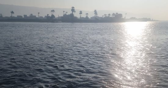 شبورة وغيوم على كافة أنحاء محافظة سوهاج.. مباشر