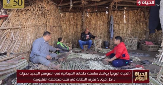 صانع أقفاص بقرية طنان: أعمل في هذه الصناعة منذ 30 عاما وعلمتها لأبنائي