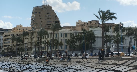 طقس الإسكندرية اليوم متعدل نهارا شديد البرودة ليلا.. مباشر