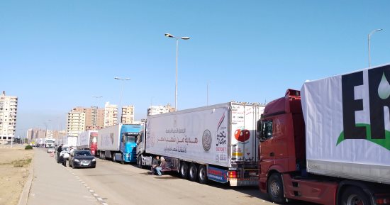"هدية من أهل القليوبية لأشقائنا فى غزة".. 30 حاوية مواد غذائية وطبية لأبناء فلسطين
