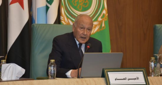 أبو الغيط يستقبل رئيس تيار الحكمة الوطنى العراقى