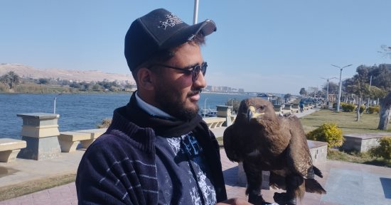 كريم مربى الطيور الجارحة: العقاب طائر شرس لا يعرف الحب