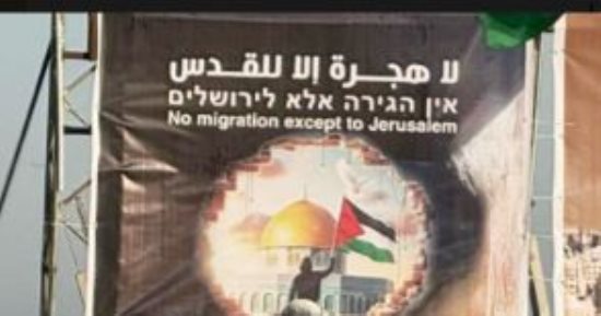 الفصائل الفلسطينية ردا على خطة ترامب للتهجير: "لا هجرة إلا للقدس".. صور