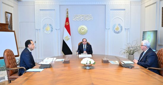 الرئيس السيسى يستعرض ملف إنشاء الجامعات الأهلية والتحول الرقمى وميكنة الخدمات