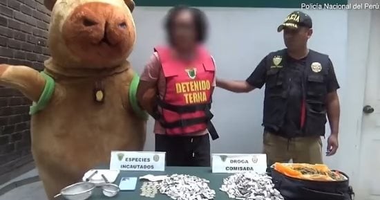 شرطي بمدينة بيرو يتنكر فى زى فأر للقبض على تاجر مخدرات.. فيديو