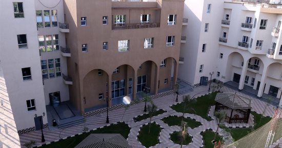 وزيرة التضامن تستعرض جهود صندوق مكافحة الإدمان وعلاج 12976 مريضا مجانا
