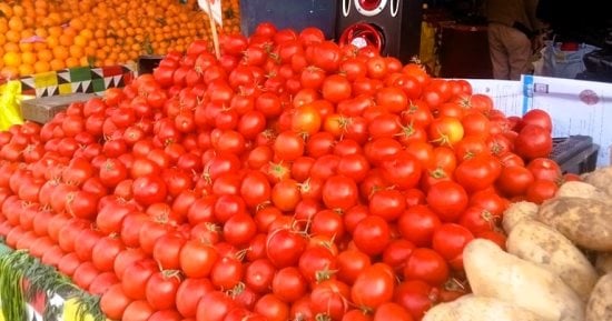 مضادة للأكسدة وغنية بالفيتامينات.. اعرفى فوائد الطماطم وإزاى تختاريها