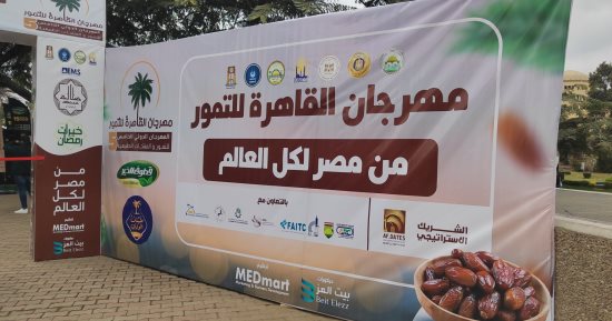 من الصعيدى للمجدول بالمكسرات.. مهرجان التمور يطرح العجوة الصعيدى بـ75 جنيها